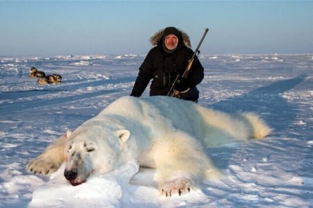 wta_275__featured_OQQEPK_PBear_062(32)