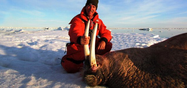 wta_302_86IQJX_Arctic_062-5