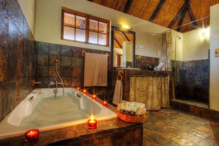 wta_344_HippoBath-Tholo-9732@25