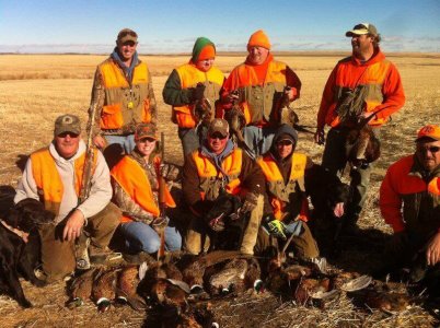 wta_388_2TZMOD_161_pheasant24