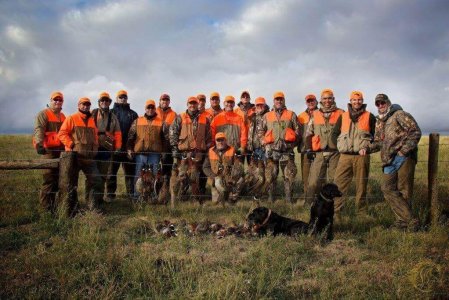 wta_388_8TT0FR_161_pheasants15
