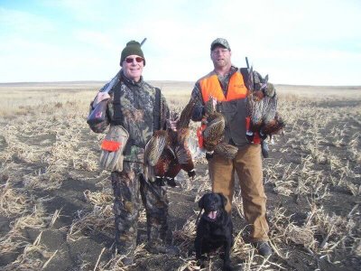 wta_388_T2EF9B_161_pheasant25
