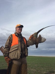 wta_388_ZQI8B7_161_pheasants4