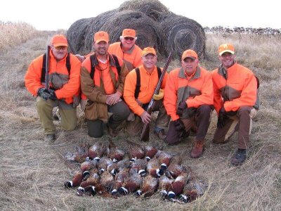 wta_388__featured_C4AMCP_161_pheasant27