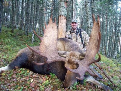 wta_411_1D4ZRW_101_moose-11