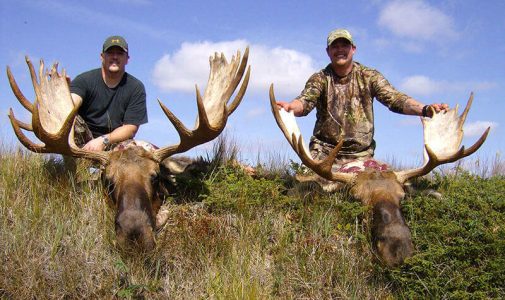 wta_411_1W2BX3_101_moose-29