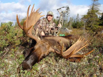 wta_411_7FSSVA_101_moose-24
