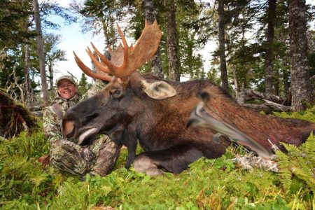 wta_411_7Z22FB_101_moose-38