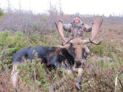 wta_411_8NGQDN_101_moose-21