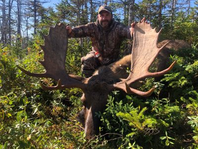 wta_411_Moose image 11 (1)