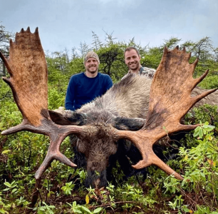 wta_411_Moose image 5