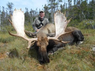 wta_411_Moose image 6