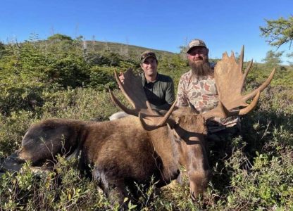 wta_411_moose Image 10