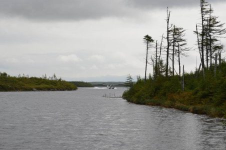 wta_412_2NIMDO_101_newfoundland-8