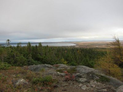 wta_412_8CFCUP_101_newfoundland-5