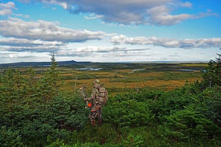 wta_412_ADCE0W_101_newfoundland-10