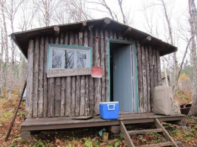 wta_412_FU80WX_101_newfoundland-7