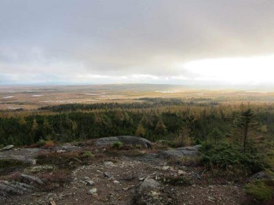 wta_412_Q4Z6VU_101_newfoundland-6