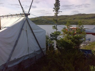 wta_412_YS6GJE_101_newfoundland-1