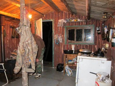 wta_412_ZHRBBX_101_newfoundland-4