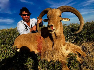 wta_440_5XXPR2_107_aoudad-23