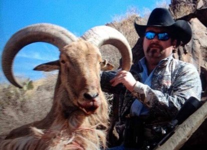 wta_440_ENA0EH_107_aoudad-5