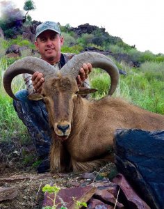 wta_440_HTL7PD_107_aoudad-18