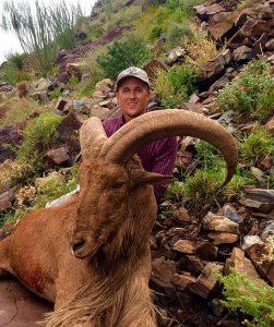 wta_440_LUZ3J5_107_aoudad-17