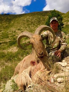wta_440_NA17LG_107_aoudad-22