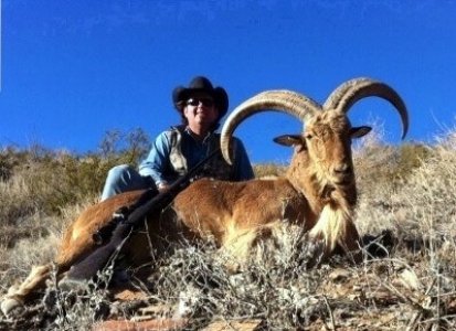 wta_440_PFJTMN_107_aoudad-7