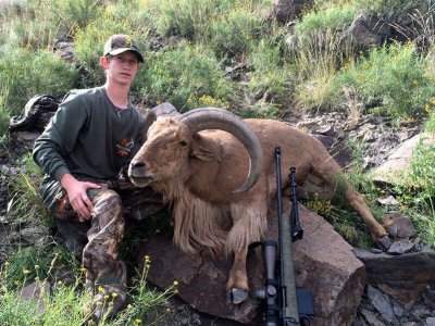 wta_440_S5AJ98_107_aoudad-29