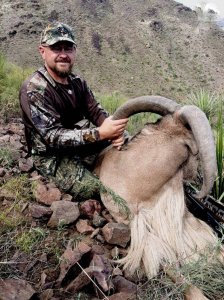 wta_440_SS8BLZ_107_aoudad-20