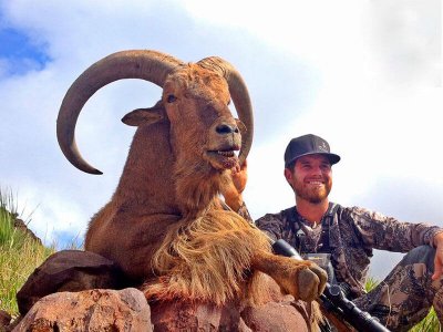 wta_440_T6QOMU_107_aoudad-4