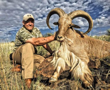 wta_440_TWX9TL_107_aoudad-3