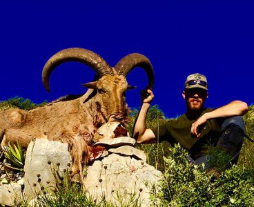 wta_440_U25YT3_107_aoudad-14