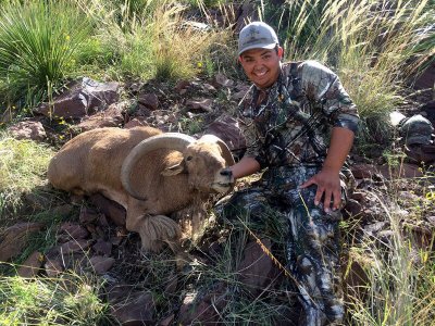 wta_440_VGHXPN_107_aoudad-27