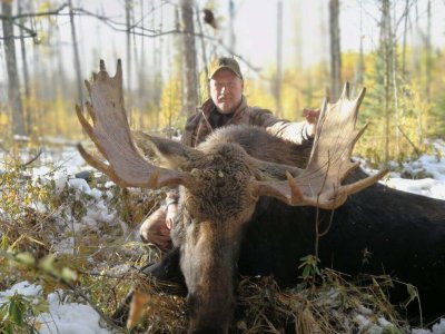 wta_453_1RI74C_SteveSpencerTraditionalArcheryMoose