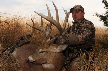 wta_460_1Q0X6U_midwestantler2