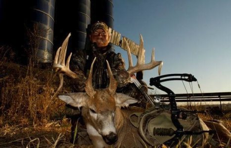 wta_460_55S4GO_midwestantler1