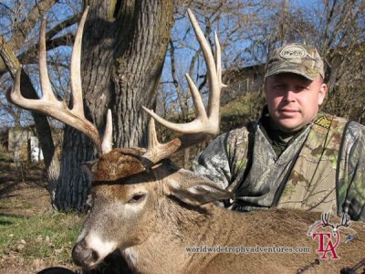 wta_461_1N75VF_066deer(26)