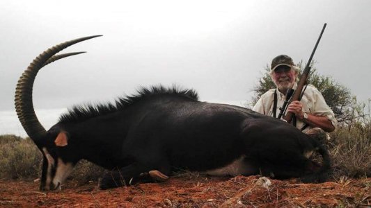 wta_52_AIBU0C_071_africa-65
