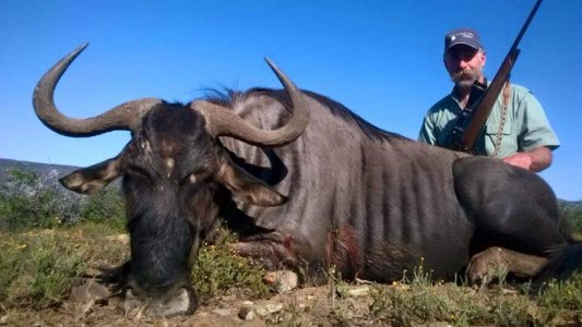 wta_52_WAHPU5_071_africa-77