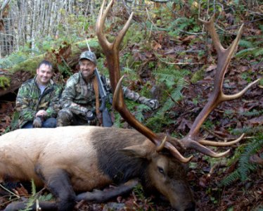 wta_544__featured_CJSC1S_268_elk