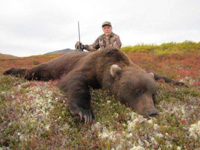 wta_546_789GV3_002_bbgrizz2-2