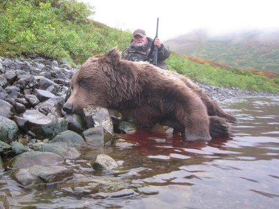 wta_546_H6KI2X_AK002_Moose_Grizz(10)