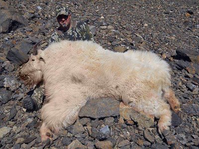 wta_585_6VSJF0_0002_101415a_AKMountainGoat_08