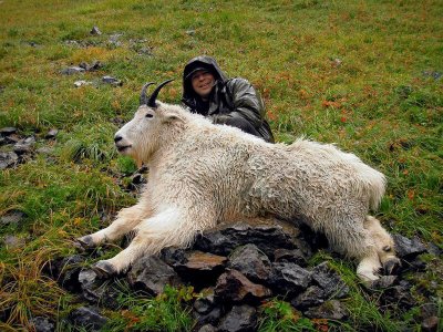 wta_585_TA2DDP_0002_020515a_AKMoutainGoat_01