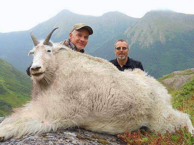 wta_585_THU6DX_0002_101415a_AKMountainGoat_09-Copy