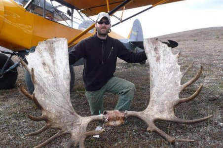 wta_587_0JXQ17_067AKMoose-3
