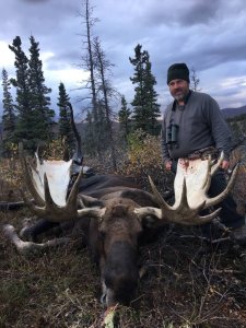 wta_587_J. Baer Moose